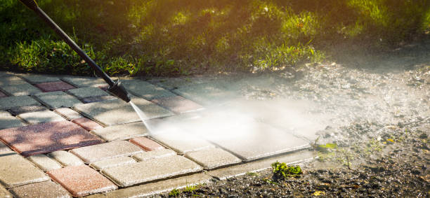 Best Sidewalk and Walkway Cleaning  in Wayne, PA